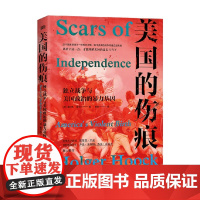 美国的伤痕 独立战争与美国政治的暴力基因 霍尔格·霍克 著 历史