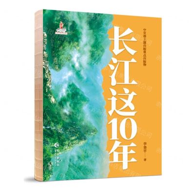 [N]长江这10年-9787549293339