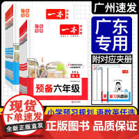 2025版一本预备一二年级三四年级五六年级语文数学英语 人教版RJ北师版BS 小学1升2升3升4升5升6年级 暑假衔接预