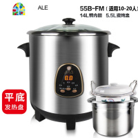 电炖煲不锈钢炖锅隔水电炖盅煮粥煲汤锅全自动家用商用 FENGHOU 9升多功能+无炖盅(5-9人)