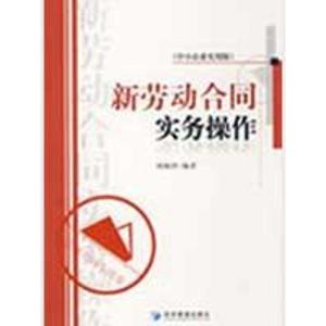 正版新书]新劳动合同实务操作刘海洋 编著9787509604274
