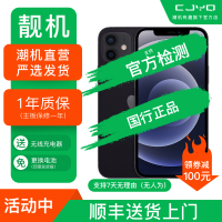 [二手99新] Apple iPhone 12 黑色 256GB 二手苹果12手机 全网通 双卡双待 国行5G 正品手机