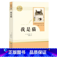 我是猫[人教版] [正版]儒林外史和简爱原著无删减人教版格列佛游记我是猫契诃夫短篇小说选九年级下册课外阅读书籍必读名著书