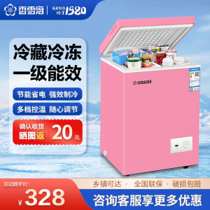 香雪海迷你小冰柜 玫瑰粉冰柜 Q版可爱个性 母乳储藏冷柜 家用冷藏冷冻 卧式冰柜冷柜 68升 BD/BC-68S118