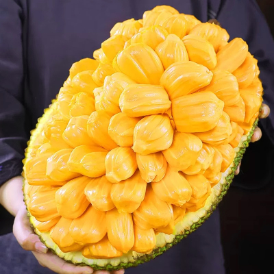 [西沛生鲜]海南红肉菠萝蜜 新鲜水果 香甜可口 1个 净重6-8斤装 西沛水果