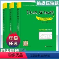 七八九年级 数学压轴题 初中通用 [正版]2024新版挑战压轴题数学初中同步训练七年级八年级九年级必刷题初中初一初二初三