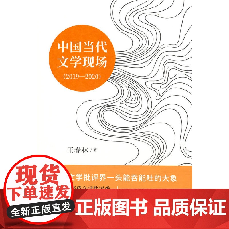 中国当代文学现场(2019-2020) 王春林 新经典 正版书籍