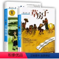 [正版]青铜葵花草房子曹文轩书籍系列儿童文学小学生三四五六年级课外书8-10-12-15岁阅读 曹文轩纯美小说系列全套