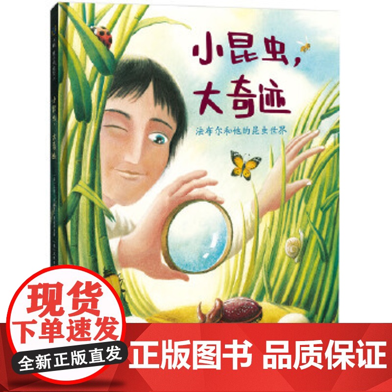 正版童书 小昆虫,大奇迹:法布尔和他的昆虫世界