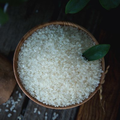 大米5斤东北大米新米香米农家新米