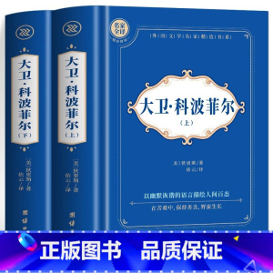 大卫·科波菲尔:全2册 [正版]神秘岛海底两万里格兰特船长的儿女八十天环游地球+地心游记 凡尔纳科幻小说全集经典世界名著