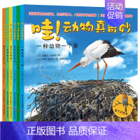 动物真奇妙[全套6册] [正版]哇!动物真奇妙全套6册 早教启蒙绘本3-4-5-6岁儿童读物启蒙认知绘本趣味科普图书百科