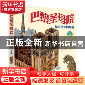 正版 巴黎圣母院 从未消失的奇迹 陈彦坤 电子工业出版社 9787121