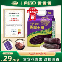 十月稻田黑糯玉米220g*8根东北软糯甘甜大棒富含花青素清香1.76kg
