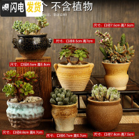 三维工匠多肉花盆陶瓷粗陶透气复古老桩肉肉创意小盆批发 33套装6个 中等花盆容器