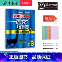 语文 五年级下 [正版] 2024新版 新黑马阅读 语文阅读同步拓展训练 五年级 B版