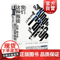 我们这种叛徒 约翰勒卡雷著 一部国际犯罪题材力作 翻拍成电影 电影由戴米恩路易斯主演 外国文学小说 上海译文出版社