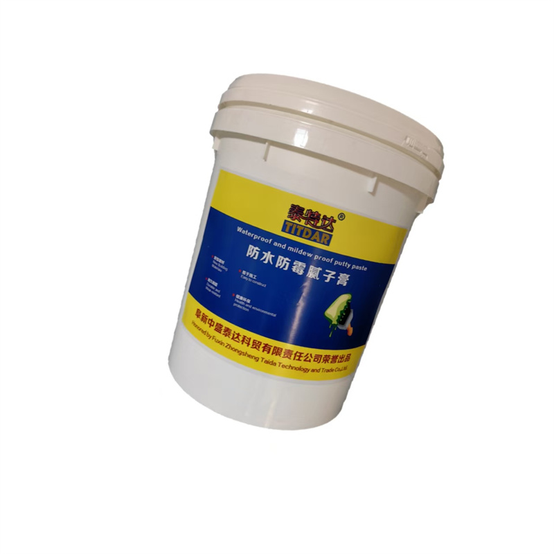 泰特达 防水防霉腻子膏 白色20KG 桶