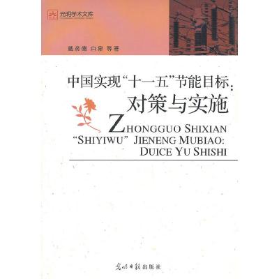 正版新书]中国实现“十一五”节能目标:对策与实施戴彦德978751