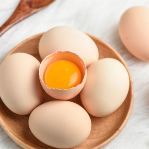 [五个农民]湖北三峡农家散养土鸡蛋30枚