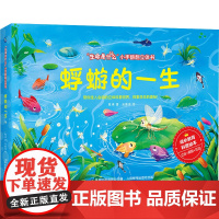 蜉蝣的一生 慈琪 著 童 少儿 少儿科普 科普百科 正版图书籍人民邮电出版社