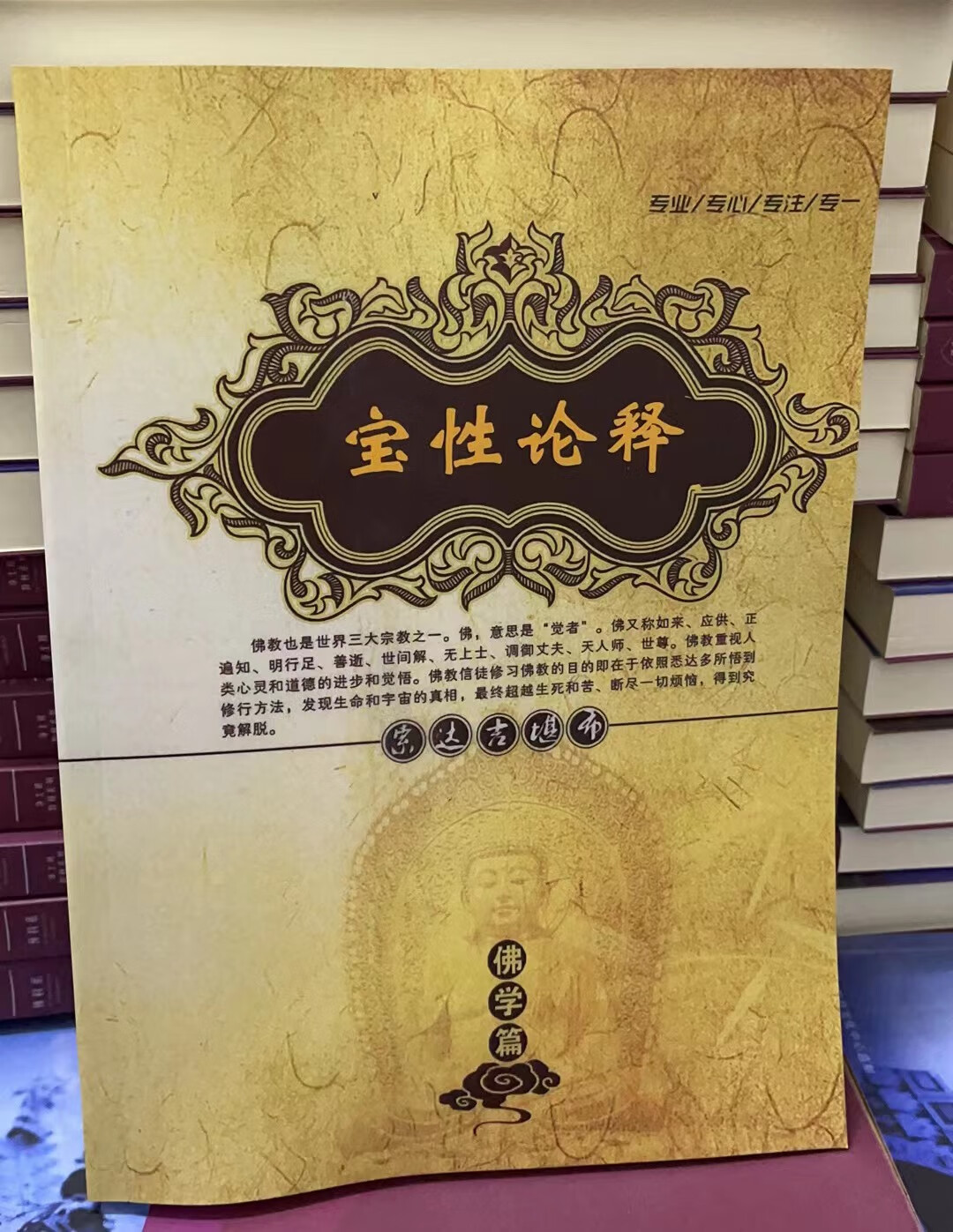 《宝性论释》《日常禅修窍诀》《佛子行 颂词与讲记》《赞戒论讲记》《梦中佛事》《净土三经释》《药师七佛功德经释》《弘法利生