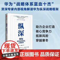 纵深 华为如何实现持续 正确领先 企业制定战略 提升自身实力与抗风险能力的框架指南 曾志 著 华为资深专家二十余年经验总