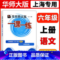 6年级上 语文(增强版) 六年级 [正版]华东师大版一课一练六年级上下册语文数学英语普通版增强版6年级上海沪教版初中教辅