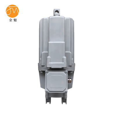 金魅 电力液压推动器 YTD800-60 个