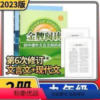 [第6次修订]九年级现代文+文言文阅读训练 [正版]金牌阅读七八九年级初中课外现代文文言文阅读训练中学语文初一初二二初三