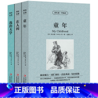 [正版]中英双语高尔基三部曲童年在人间我的大学书原著中英文对照版双语英汉互译英语阅读书籍英文读物小说初中高中课外阅读书