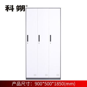 科朔 文件柜两门更衣柜钢柜钢制办公室更衣柜铁皮更衣柜储物柜KS-G002