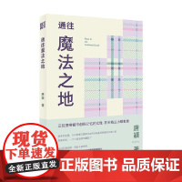 通往魔法之地 唐颖 著 小说