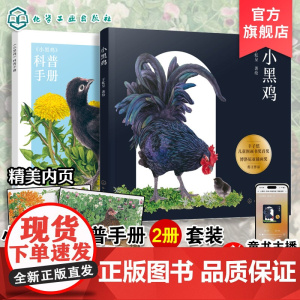小黑鸡 含科普手册 小鸡孵化科普绘本 大鹏自然童书奖 博洛尼亚插画奖 于虹呈 儿童自然科学生物知识启蒙绘本小学动植物观察