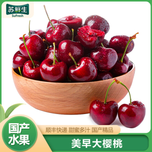 顺丰快递[苏鲜生]大连美早大樱桃 车厘子 JJ级 净重4.8斤