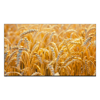 海尔75英寸超高清智能液晶电视一级能效铝合金边框支持HDR和语音控制博卡灰