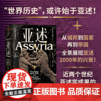 亚述 史上第一个帝国的兴起和衰落 埃卡特·弗拉姆 著 古代中东政治格局 全景展示亚述2000年的兴衰 从城邦到国家再到帝