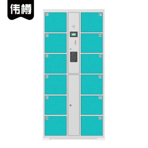 伟樽智能储物柜自设密码12门850*460*1800mm台