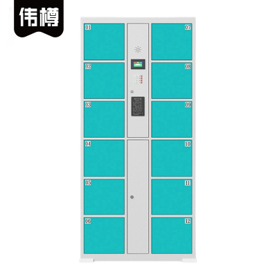 伟樽智能储物柜自设密码12门850*460*1800mm台