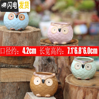 三维工匠陶瓷特小号多肉植物多色套装控型迷你多肉拇指肉肉花盆创意 猫头鹰1号(4个) 中小花盆容器