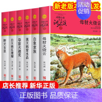 [6册]沈石溪动物小说红色特辑 [正版]狼王梦沈石溪动物小说系列品藏书系后一头战象8-10-12-15周岁儿童文学三四五