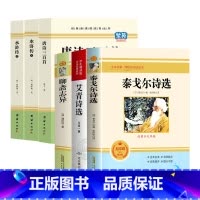 [必读+选读赠考点]九年级上册6册 [正版]九年级2册 简爱和儒林外史吴敬梓原著完整版必读初三课外书初中课外阅读书籍上册