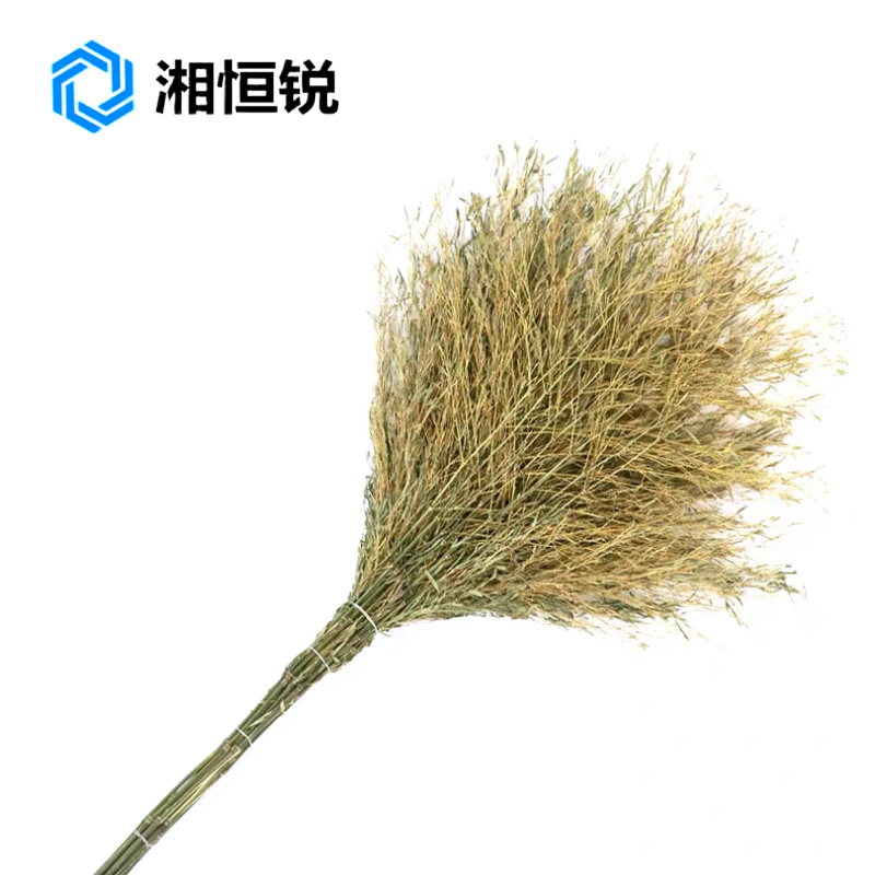 湘恒锐 大竹扫把 竹子扫把 大号扫把 个