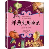正版新书]洋葱头历险记 注音彩绘版贾尼·罗大里9787514846621