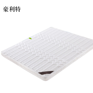 豪利特椰棕床垫家用棕垫B10cm厚(防螨针织+2cm乳胶+0胶水天然椰棕)1000mm*2000mm