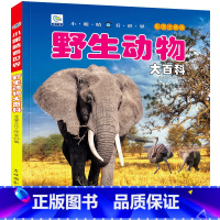 [选3件39元]野生动物 [正版]自然百科全书注音版幼儿探索自然奥秘大百科儿童科普绘本小百科读物全套科学认知幼儿少儿儿童