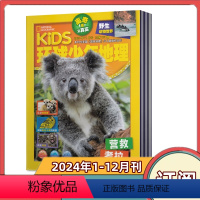 [全年订阅]2024年1-12月共12期 [正版]全年订阅KiDS环球少年地理杂志2024年1-6/7-12月/2024