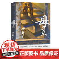 母亲 中国式母亲的平凡与伟大茅盾文学奖得主 电视剧《人世间》原著作者梁晓声母亲不求回报的付出注定我们前行的力量