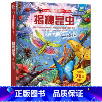 ★揭秘昆虫 [正版]揭秘系列儿童翻翻书3d立体书全套 3-6-8-10岁海洋恐龙太空宇宙人体地球动物汽车火车交通工具立体