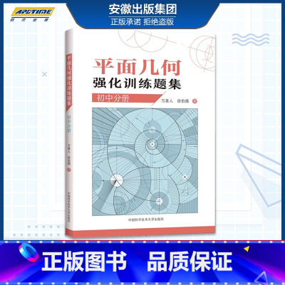[正版]平面几何强化训练题集 初中分册 初中通用初一二三七八九年级355道新编初中几何题 解题技巧 初中高训练价值原创题